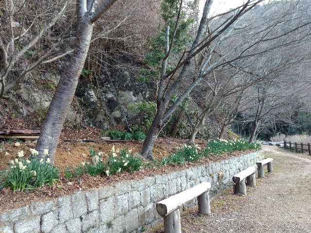 f:id:developingexplorer:20240706183808j:image