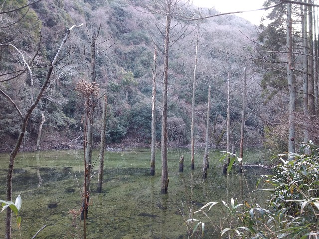 f:id:developingexplorer:20240706183909j:image