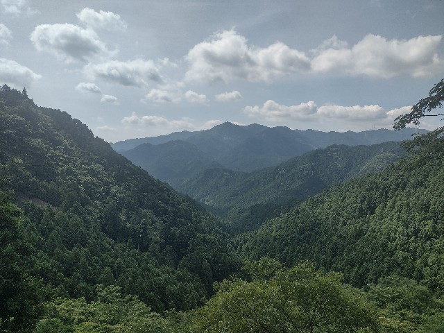 f:id:developingexplorer:20240713205314j:image f:id:developingexplorer:20240713205314j:image