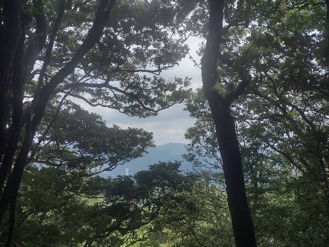 f:id:developingexplorer:20240713205406j:image f:id:developingexplorer:20240713205406j:image