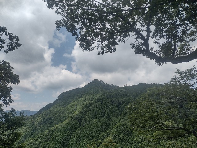 f:id:developingexplorer:20240713210105j:image f:id:developingexplorer:20240713210105j:image