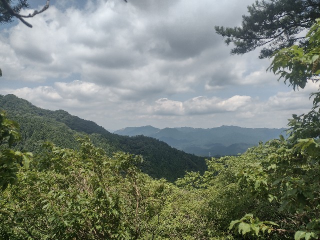 f:id:developingexplorer:20240713210151j:image f:id:developingexplorer:20240713210151j:image