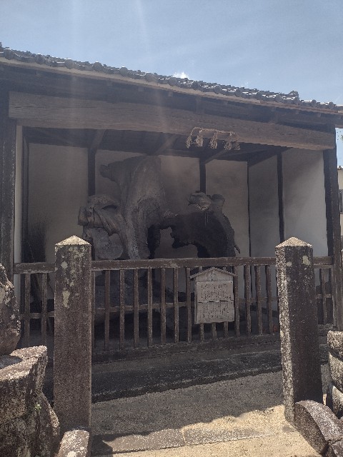 f:id:developingexplorer:20240713210524j:image f:id:developingexplorer:20240713210524j:image