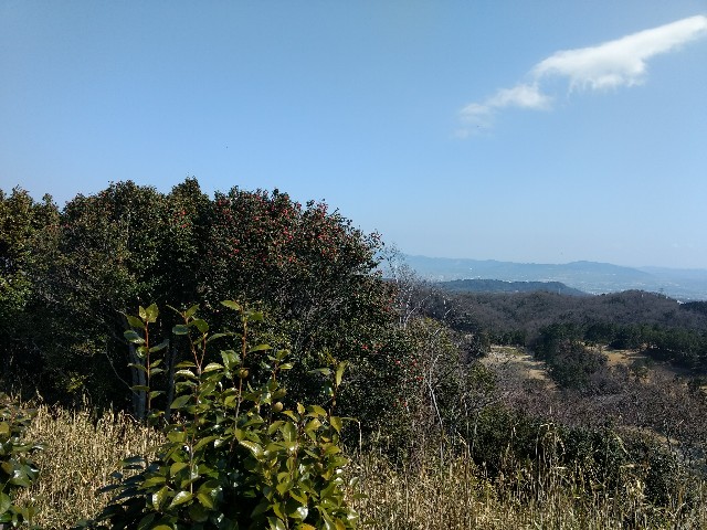 f:id:developingexplorer:20240720191228j:image f:id:developingexplorer:20240720191228j:image