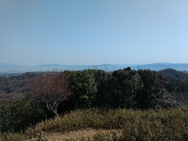 f:id:developingexplorer:20240720191632j:image f:id:developingexplorer:20240720191632j:image
