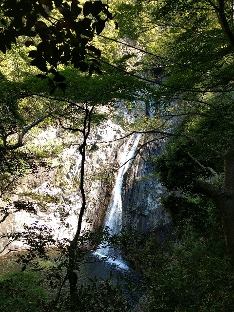f:id:developingexplorer:20240720192037j:image