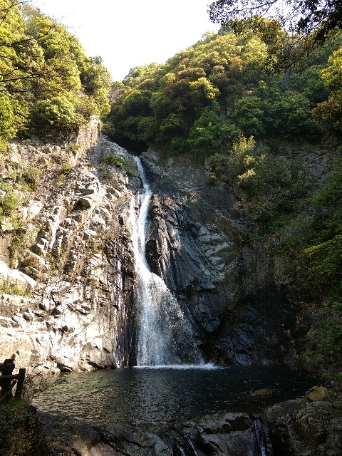 f:id:developingexplorer:20240720192132j:image