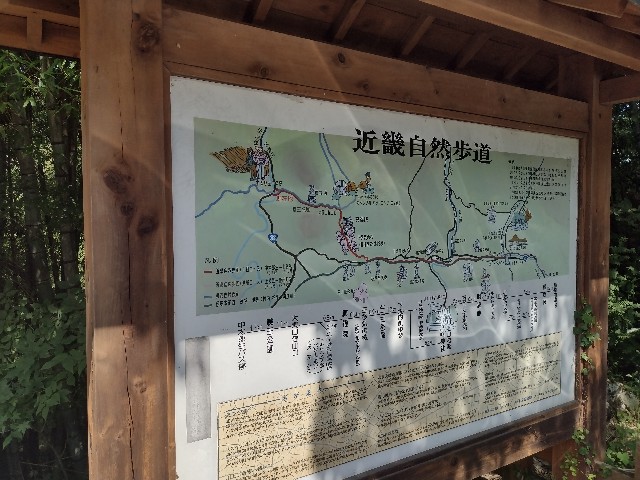 f:id:developingexplorer:20240728185504j:image f:id:developingexplorer:20240728185504j:image