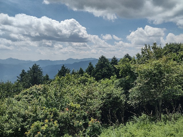 f:id:developingexplorer:20240728190129j:image f:id:developingexplorer:20240728190129j:image