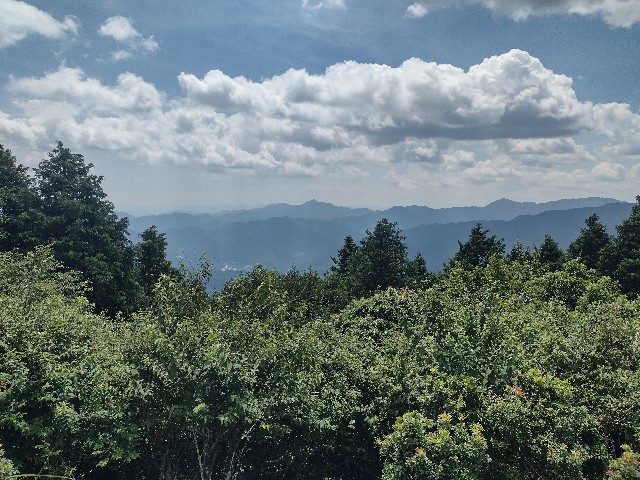 f:id:developingexplorer:20240728190211j:image f:id:developingexplorer:20240728190211j:image