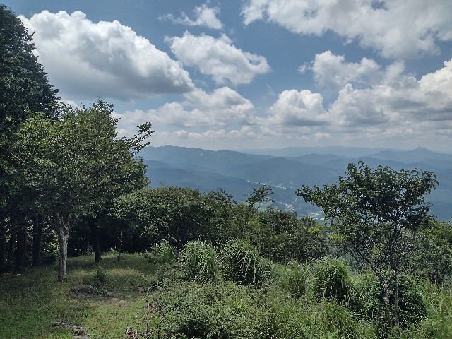 f:id:developingexplorer:20240728190334j:image f:id:developingexplorer:20240728190334j:image