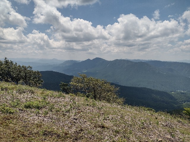 f:id:developingexplorer:20240728190906j:image f:id:developingexplorer:20240728190906j:image