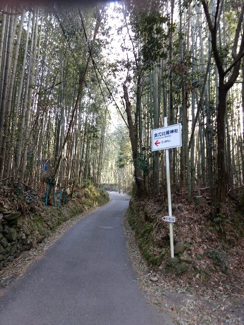 f:id:developingexplorer:20240804124414j:image