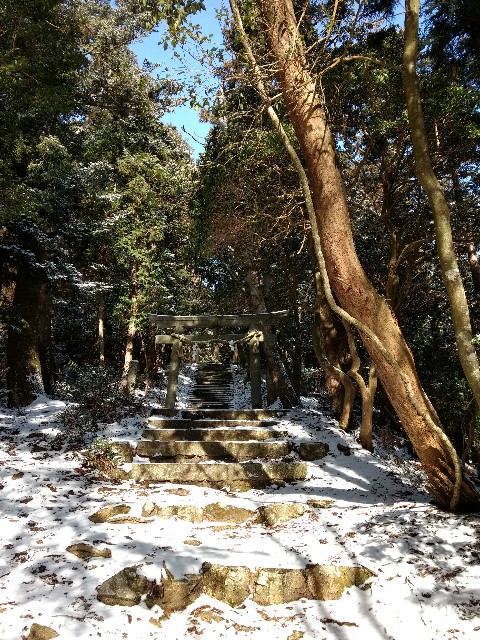 f:id:developingexplorer:20240804124742j:image