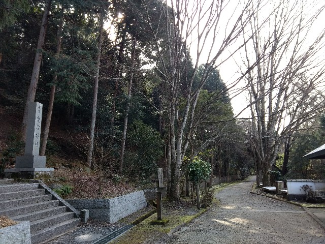 f:id:developingexplorer:20240804125158j:image
