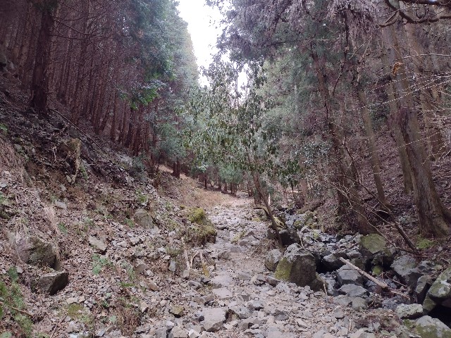 f:id:developingexplorer:20240810144959j:image