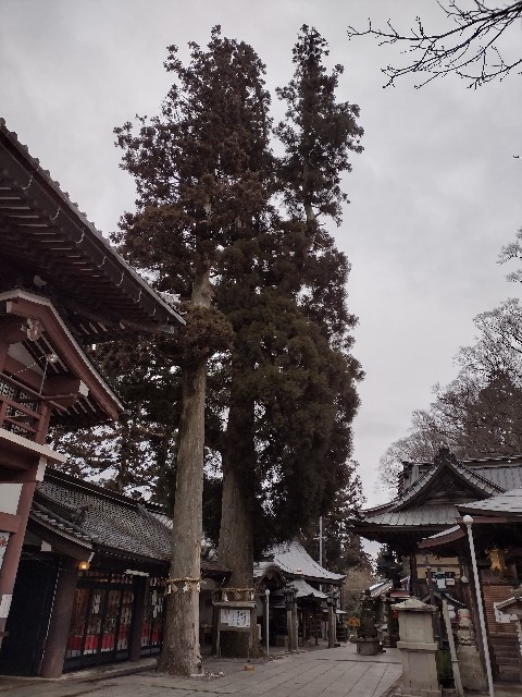 f:id:developingexplorer:20240810150357j:image