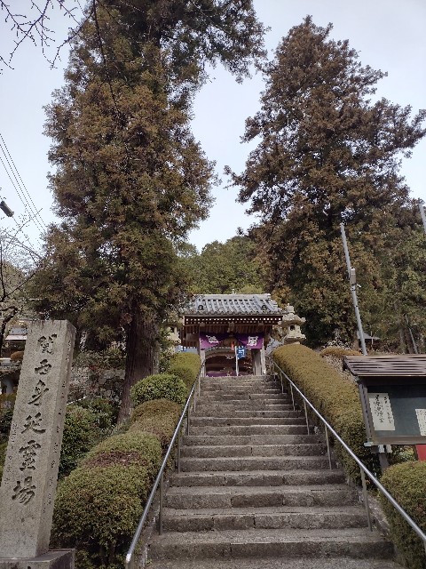 f:id:developingexplorer:20240810154125j:image