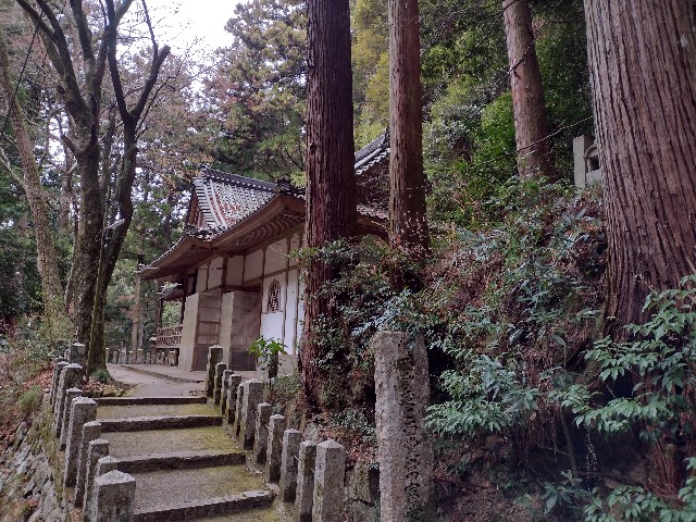 f:id:developingexplorer:20240810154151j:image