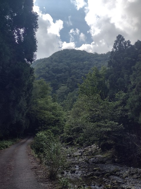 f:id:developingexplorer:20240816205608j:image