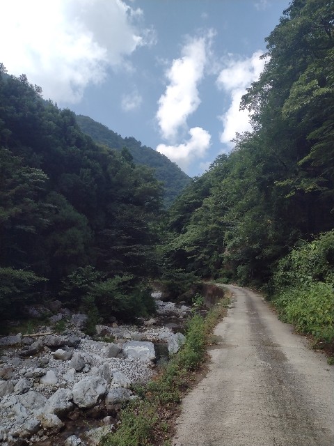 f:id:developingexplorer:20240816205718j:image