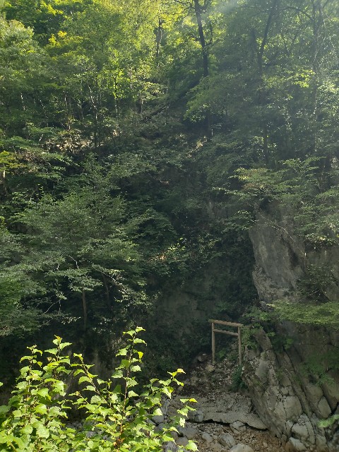 f:id:developingexplorer:20240816205951j:image