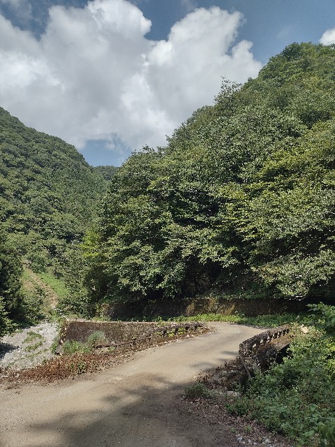 f:id:developingexplorer:20240816210030j:image