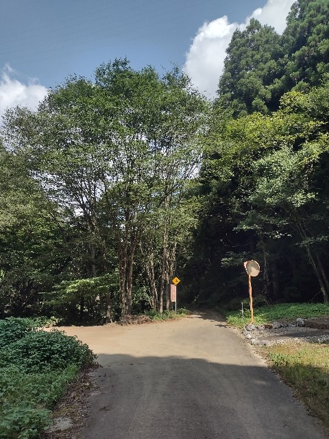 f:id:developingexplorer:20240816210043j:image