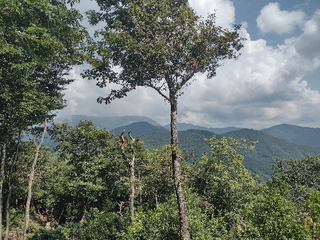 f:id:developingexplorer:20240816210252j:image