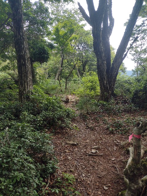 f:id:developingexplorer:20240816210328j:image