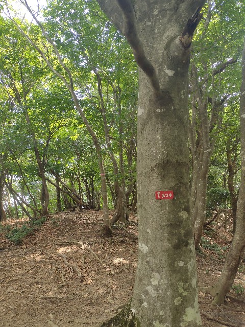 f:id:developingexplorer:20240816210417j:image