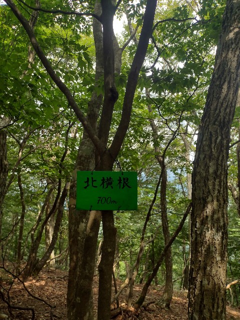 f:id:developingexplorer:20240816210445j:image