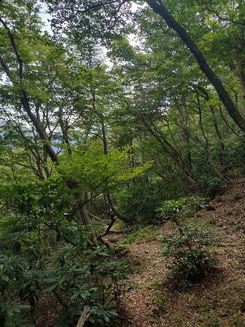 f:id:developingexplorer:20240816210604j:image