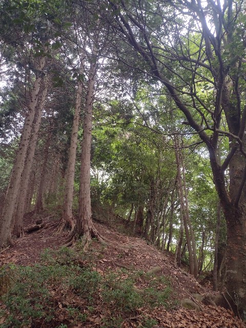 f:id:developingexplorer:20240816211032j:image
