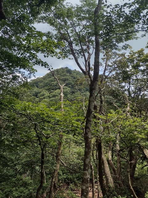f:id:developingexplorer:20240816211048j:image