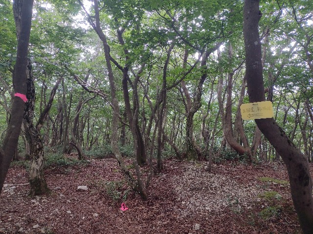 f:id:developingexplorer:20240816211243j:image