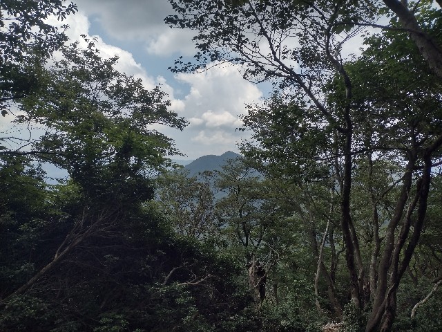 f:id:developingexplorer:20240816211303j:image