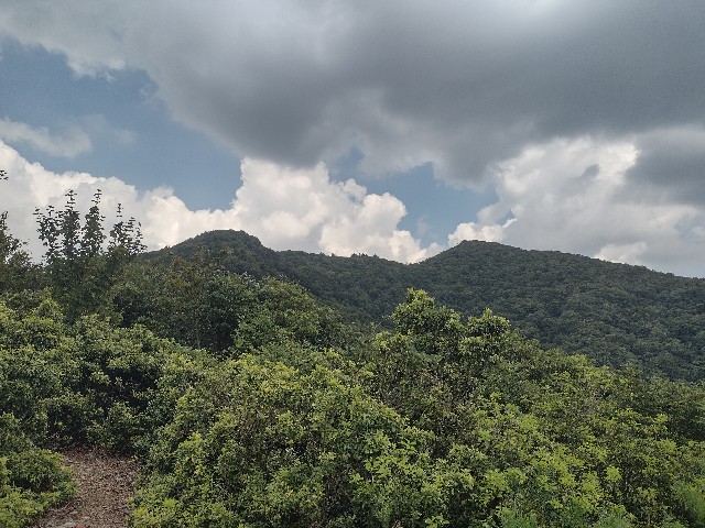 f:id:developingexplorer:20240817072616j:image