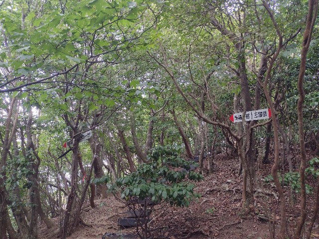 f:id:developingexplorer:20240817072632j:image