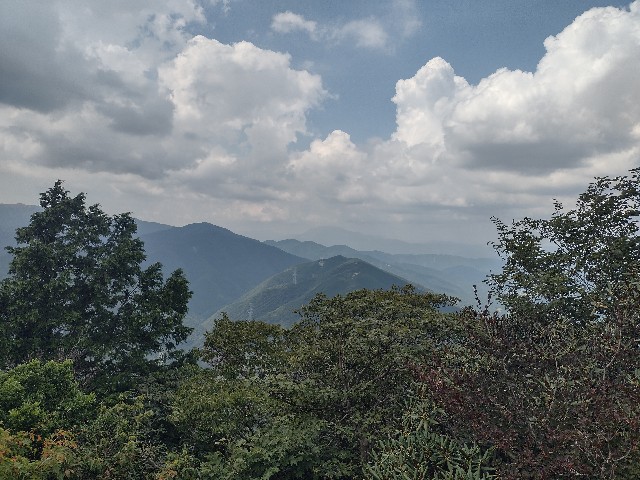 f:id:developingexplorer:20240817072709j:image