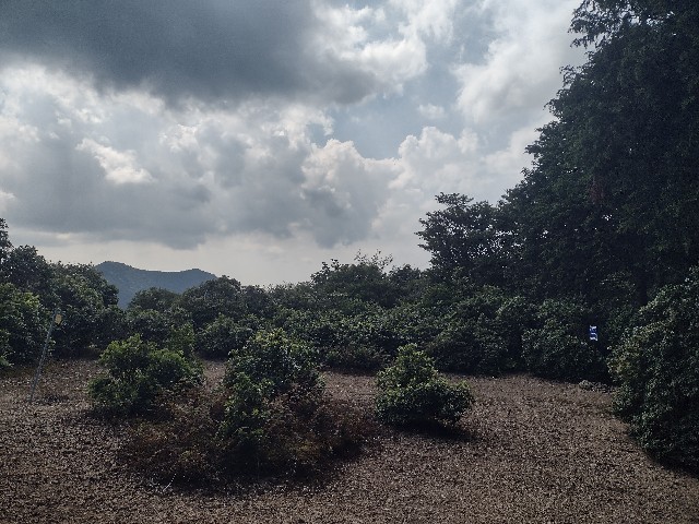 f:id:developingexplorer:20240817072917j:image
