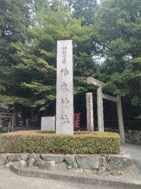 f:id:developingexplorer:20240901072324j:image