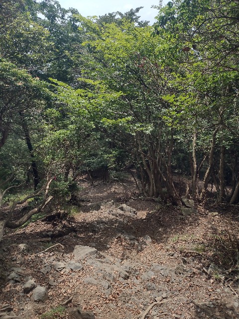 f:id:developingexplorer:20240901073001j:image