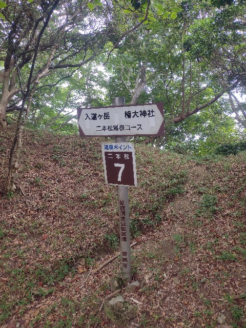 f:id:developingexplorer:20240901073017j:image
