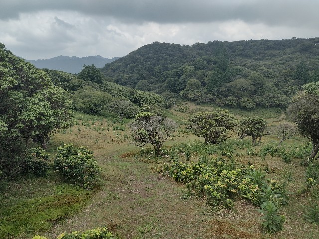 f:id:developingexplorer:20240901073916j:image