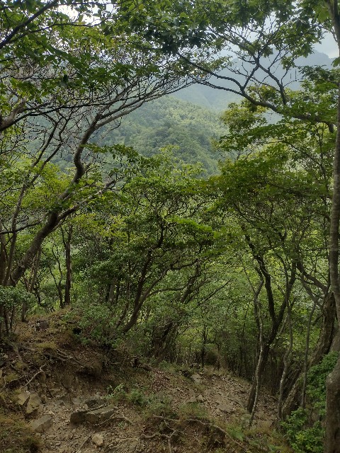 f:id:developingexplorer:20240901074009j:image