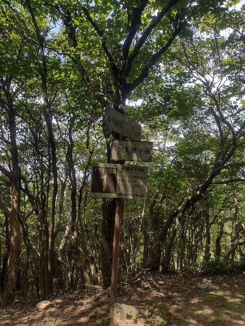 f:id:developingexplorer:20240901074047j:image