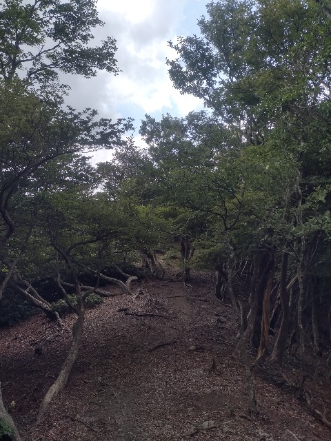 f:id:developingexplorer:20240901074224j:image