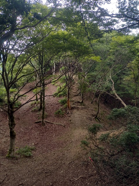 f:id:developingexplorer:20240901074244j:image
