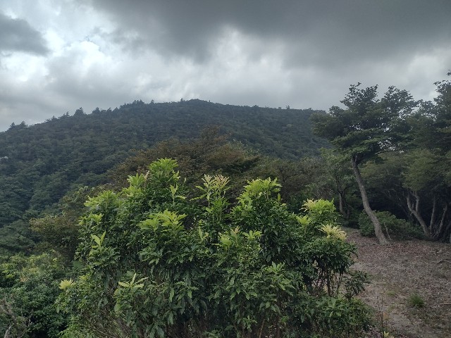 f:id:developingexplorer:20240901074301j:image